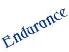 Endurance exercise videos