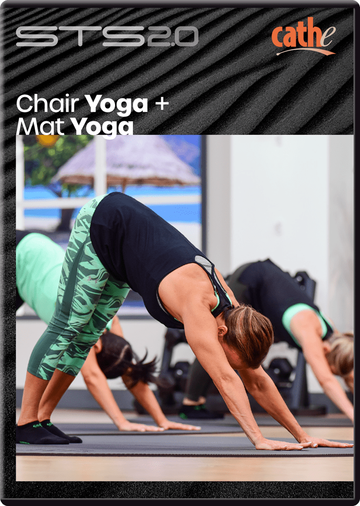 *NEW* Cathe STS 2.0 Chair Yoga + Mat Yoga DVD - Collage Video
