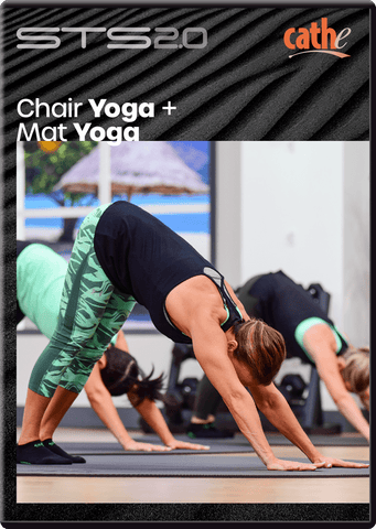 *NEW* Cathe STS 2.0 Chair Yoga + Mat Yoga DVD