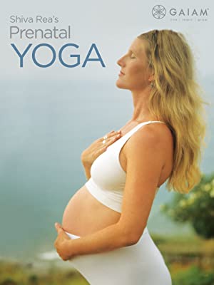 [USED - VERY GOOD] Shiva Rea's Prenatal Yoga - Collage Video