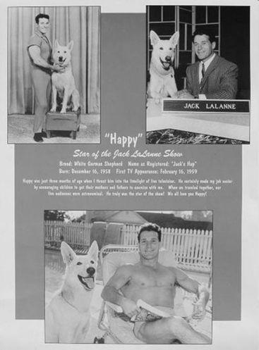 Jack lalanne's dog happy sales